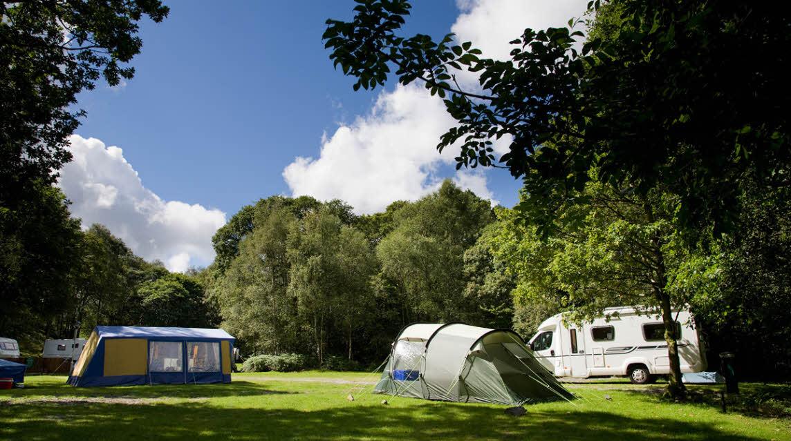 Coniston Park Coppice Club Campsite